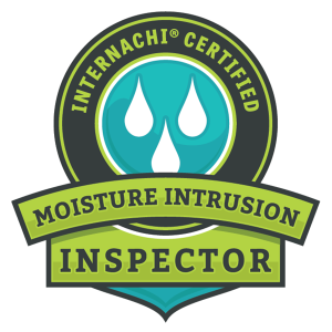 Moisture Intrusion Inspector Duluth MN